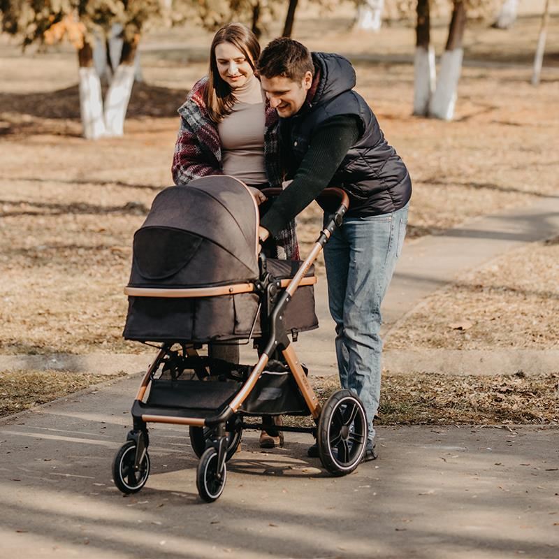 Carucior transformabil 3in1 Coccolle Melora Moonlit grey - gogobaby.ro