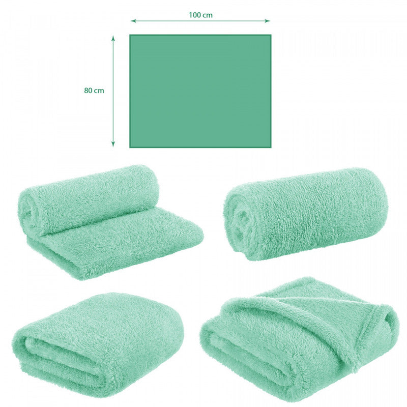 Paturica pufoasa, Bocioland, Pentru copii, Din fleece, Dimensiune mare 80 x 100 cm, Mint - gogobaby.ro