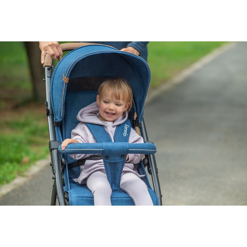 Carucior sport, Lionelo, Annet Plus, De la nastere, Cu accesorii si capotina XXL reglabila, 0 - 22 Kg, Conform cu standardele europene de securitate EN1888-1 si EN1888-2, Bej - gogobaby.ro