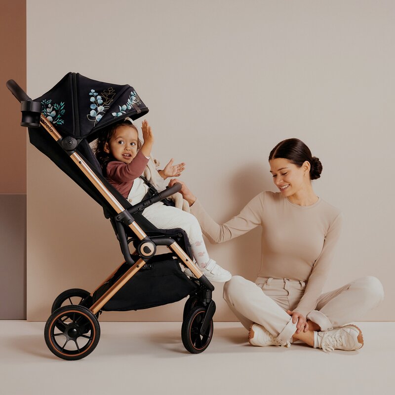 Carucior sport, Lionelo, Cloe, Golden Moments, Editie limitata, Cu accesorii, Cadru din aluminiu, Pana la 22 kg, Usor, Pliere compacta pentru avion, cu o singura mana, Ideal pentru toate tipurile de suprafete, 6 luni+, Negru - gogobaby.ro