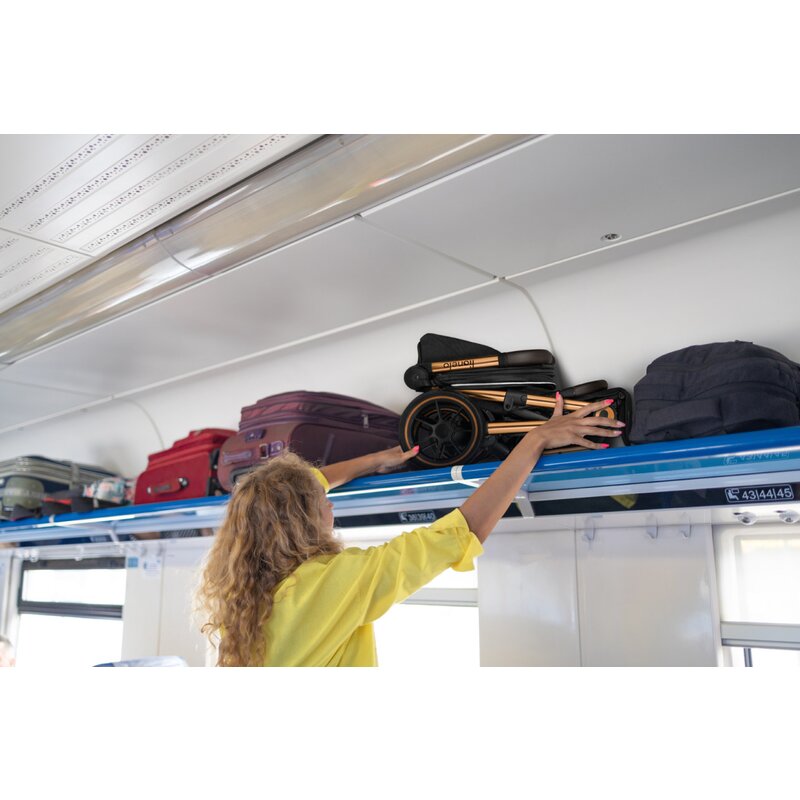 Carucior sport, Lionelo, Cloe, Golden Moments, Editie limitata, Cu accesorii, Cadru din aluminiu, Pana la 22 kg, Usor, Pliere compacta pentru avion, cu o singura mana, Ideal pentru toate tipurile de suprafete, 6 luni+, Negru - gogobaby.ro
