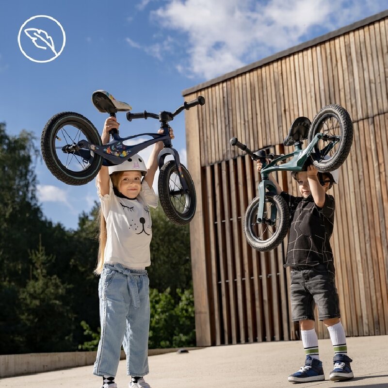 Bicicleta fara pedale, Lionelo, Bart, Usoara, Cu cadru din magneziu, Cu ghidon si sa reglabile, Greutate 3 Kg, 12 inch, Conform cu standardul european de securitate EN71, Auriu - gogobaby.ro