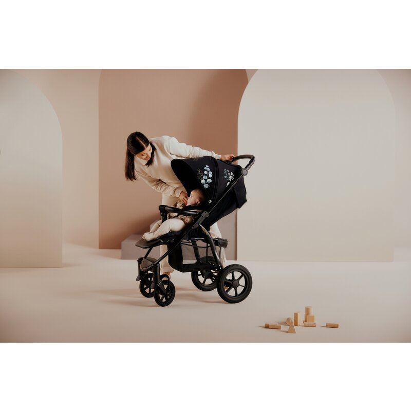 Carucior sport, Lionelo, Annet Tour Golden Moments, Editie Limitata, 0 luni+, Capotina impermeabila UPF 50+, Maner reglabil, Plasa de tantari, Suport biberon, Saculet pentru picioare, Pana la 22 kg, Certificare TUV, Negru - gogobaby.ro