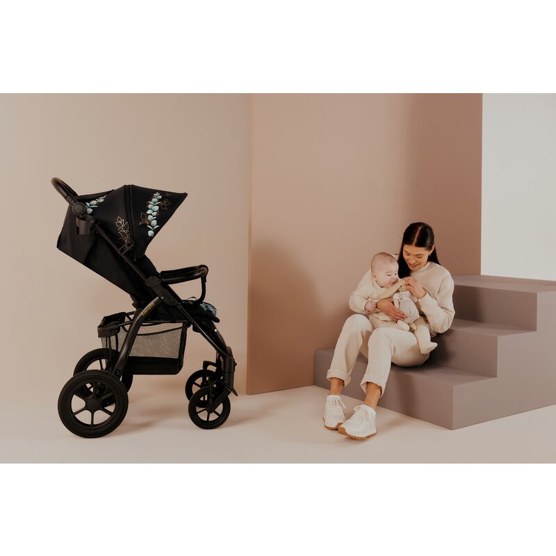 Carucior sport, Lionelo, Annet Tour Golden Moments, Editie Limitata, 0 luni+, Capotina impermeabila UPF 50+, Maner reglabil, Plasa de tantari, Suport biberon, Saculet pentru picioare, Pana la 22 kg, Certificare TUV, Negru - gogobaby.ro