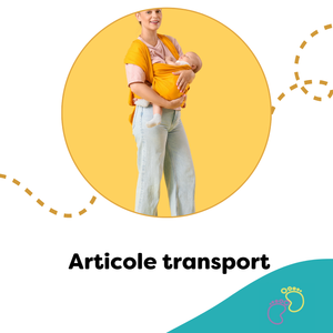 Articole Transport