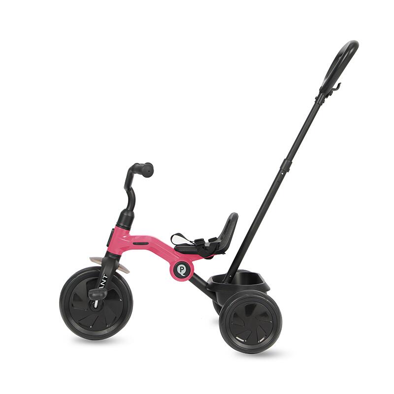 Tricicleta Qplay Ant Plus Rose