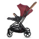 Carucior modular 2in1 Coccolle Saliara Cabernet