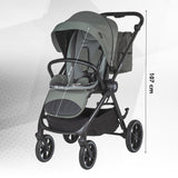 Carucior modular 2in1 Coccolle Serry Moss green