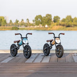 Balance bike QPlay Feduro Albastru