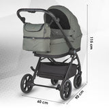 Carucior modular 2in1 Coccolle Serry Moss green+ Scoica auto iSize Coccolle Knox Black