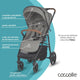 Carucior sport Coccolle Finley Sand beige