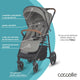 Carucior sport Coccolle Finley Sand beige - Grey