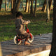 Balance bike QPlay Trainer Rosu