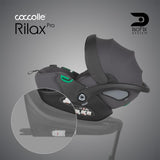 Scoica auto iSize Coccolle Rilax Greystone