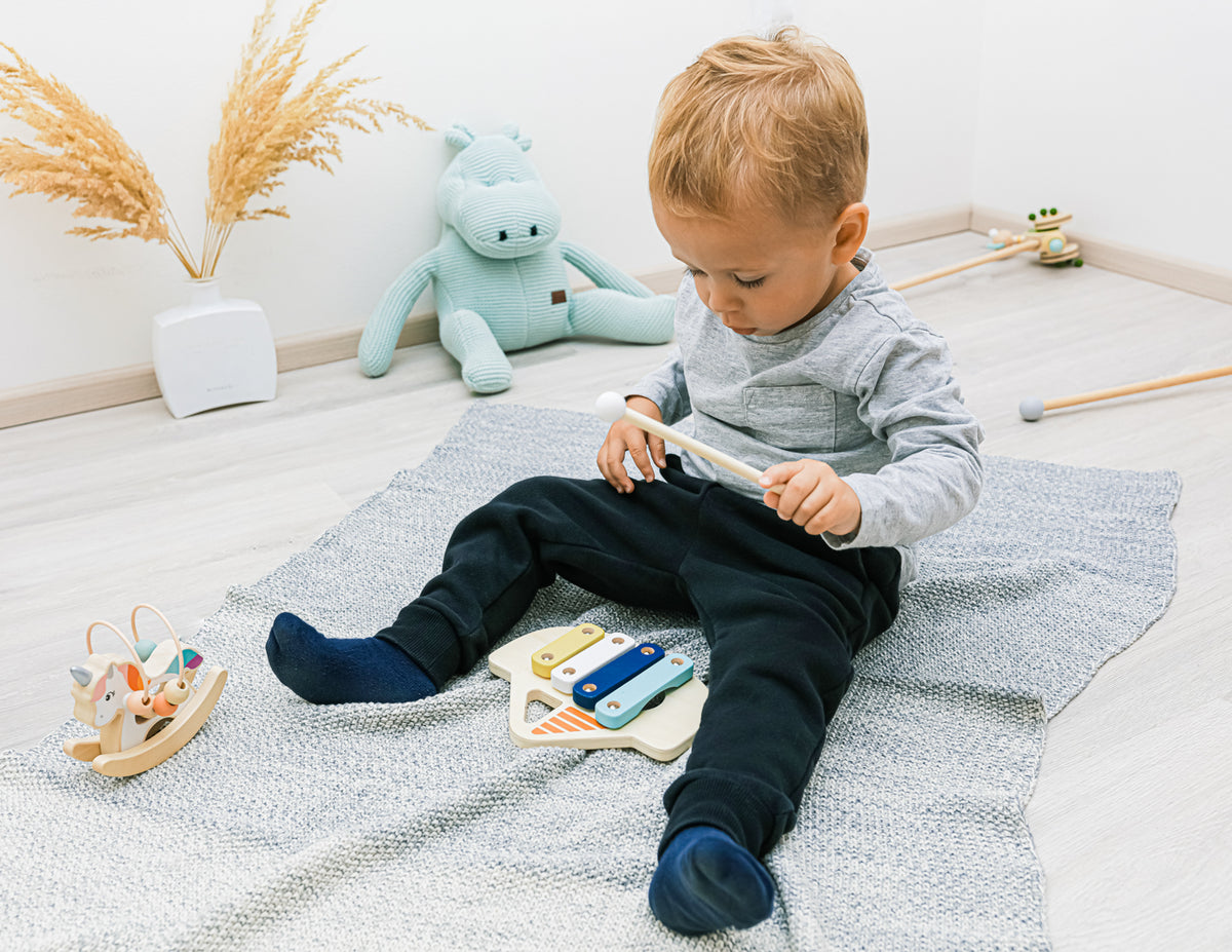 ZOPA - Jucarie Xilofon Masinuta - gogobaby.ro