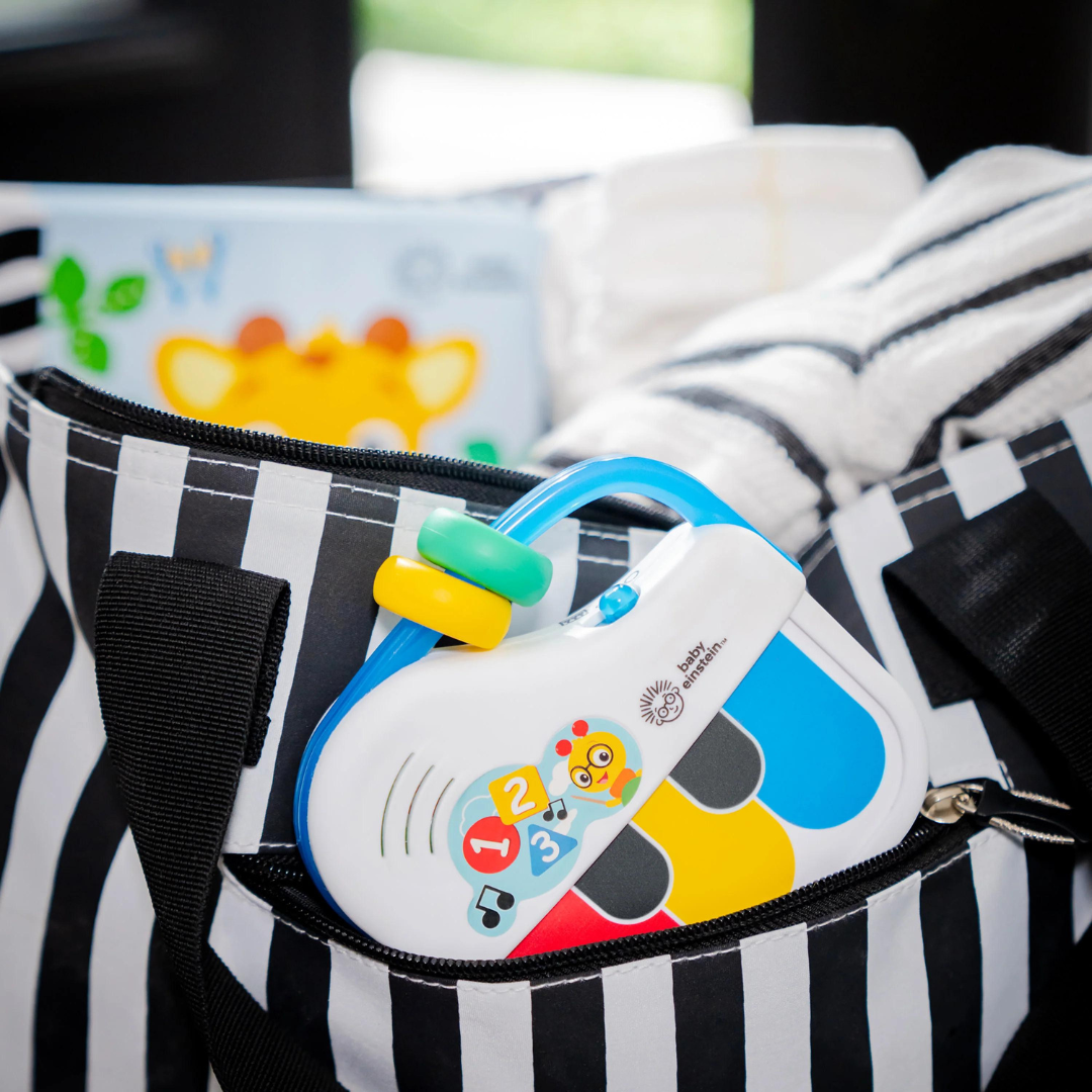 Baby Einstein - Jucarie muzicala Petit Piano - gogobaby.ro