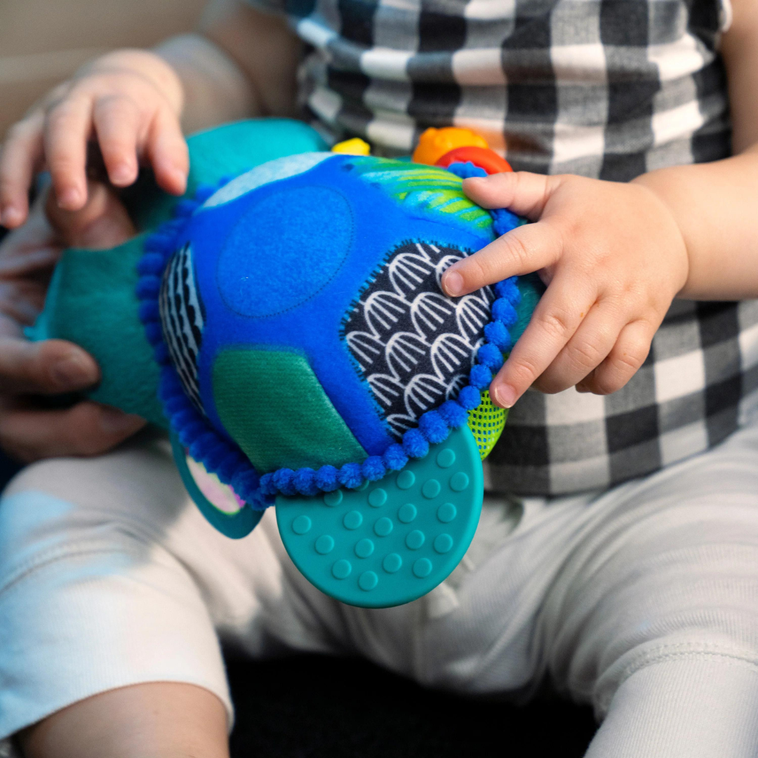 Baby Einstein - Jucarie interactiva de plus, 