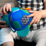 Baby Einstein - Jucarie interactiva de plus, 