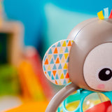 Bright Starts - Jucarie multi-senzoriala, 
