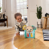 Baby Einstein - Jucarie interactiva, 