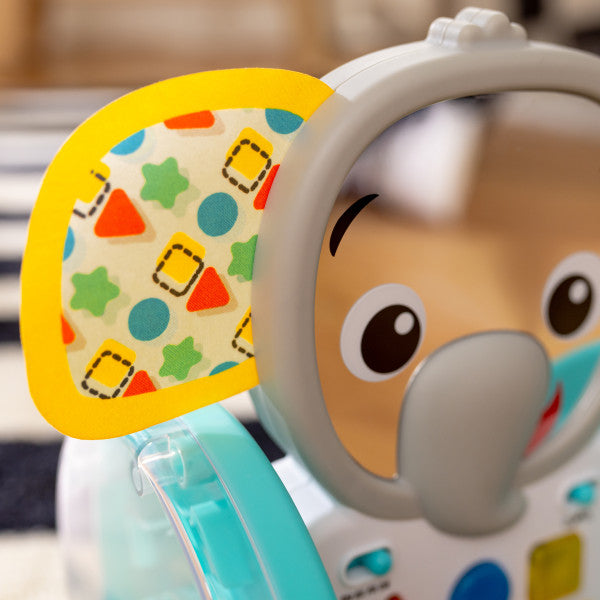 Baby Einstein - Jucarie interactiva, 
