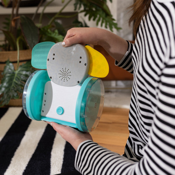 Baby Einstein - Jucarie interactiva, 