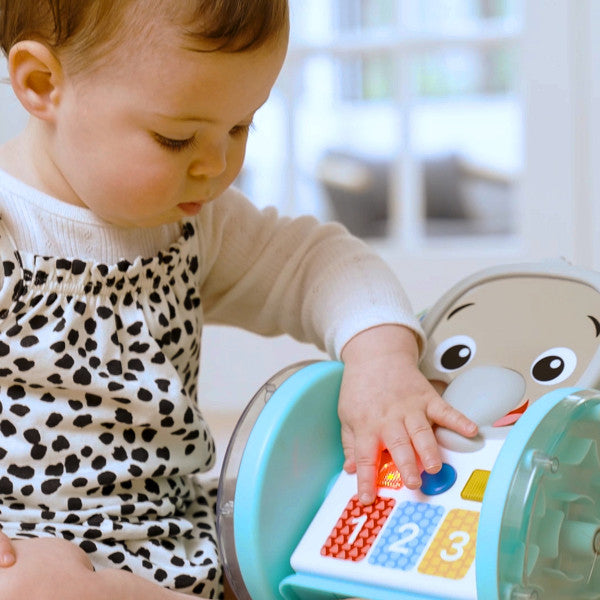Baby Einstein - Jucarie interactiva, 