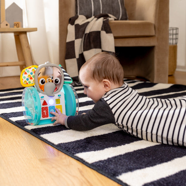 Baby Einstein - Jucarie interactiva, 