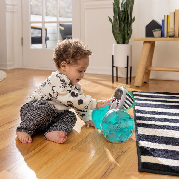 Baby Einstein - Jucarie interactiva, 