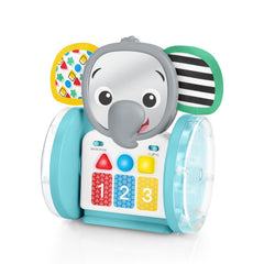 Baby Einstein - Jucarie interactiva, 