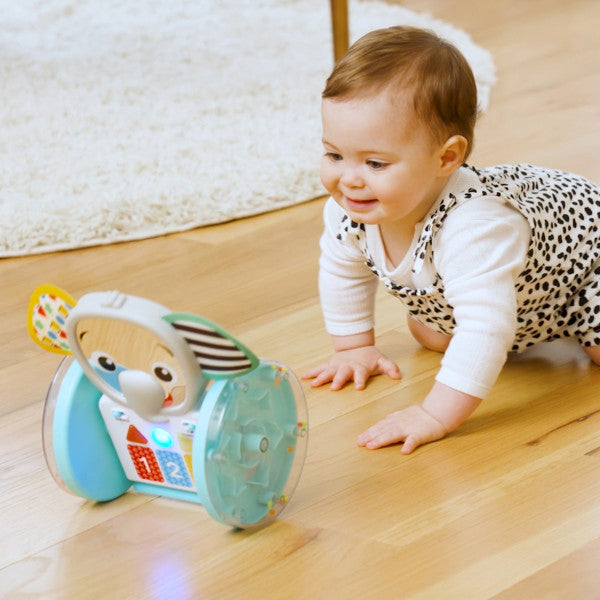 Baby Einstein - Jucarie interactiva, 