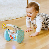 Baby Einstein - Jucarie interactiva, 