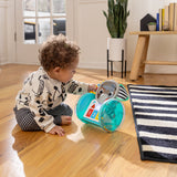 Baby Einstein - Jucarie interactiva, 