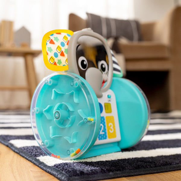 Baby Einstein - Jucarie interactiva, 