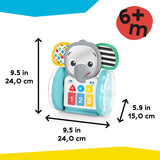 Baby Einstein - Jucarie interactiva, 
