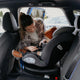 Scaun auto iSize 40-150 cm Coccolle Nyota Moonlit grey+Coccolle Parasolar auto cu ventuze