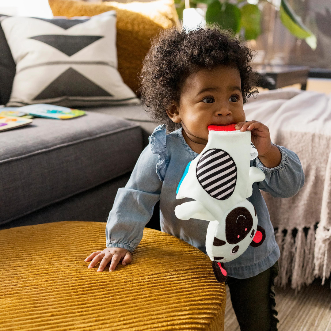 Bright Starts - Jucarie de dentitie din plus pentru bebelusi Zebra Zen - gogobaby.ro