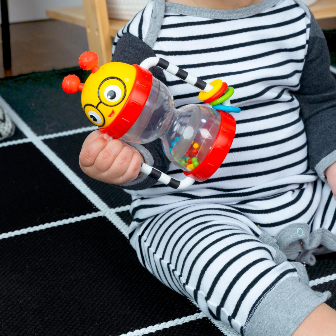 Baby Einstein - Jucarie zornaitoare, 