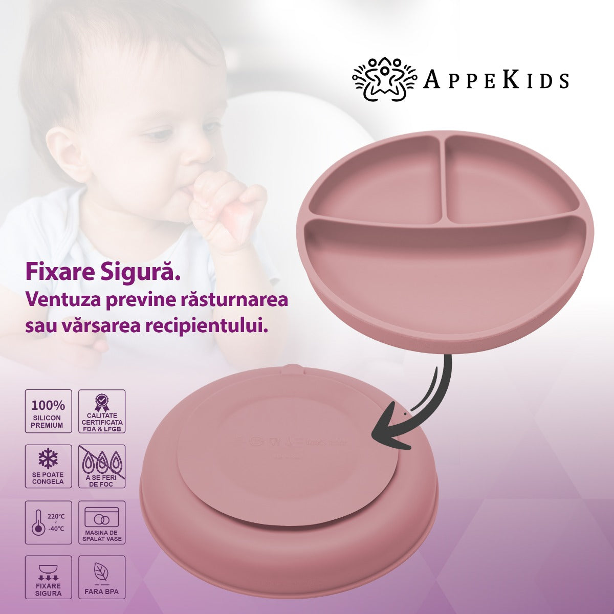 Set Diversificare, AppeKids, 100% Silicon, Classic - Old Rose - gogobaby.ro