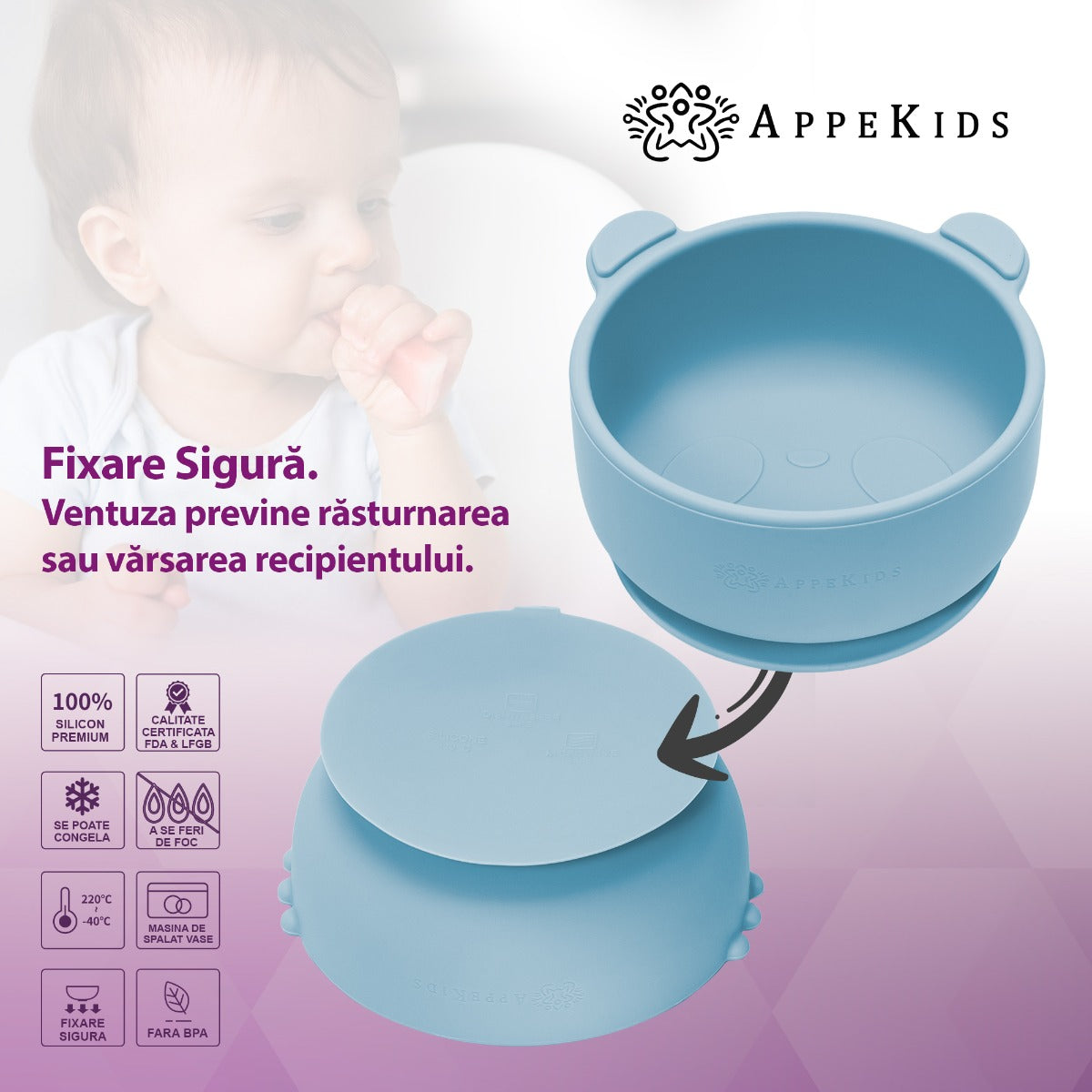 Bol din silicon cu ventuza, AppeKids, The Little Bear - Aqua Blue - gogobaby.ro