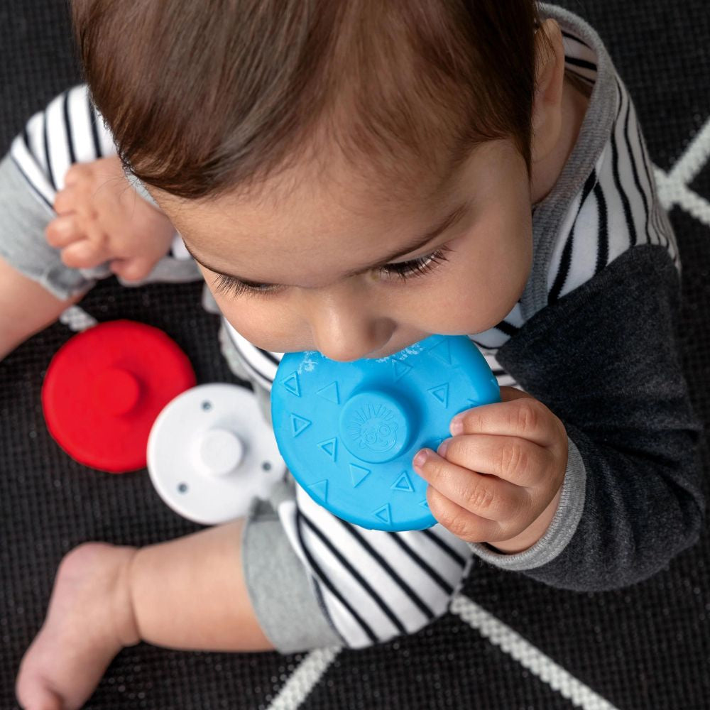 Baby Einstein - Jucarie zornaitoare si dentitie Zen, fara BPA - gogobaby.ro