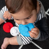 Baby Einstein - Jucarie zornaitoare si dentitie Zen, fara BPA