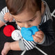 Baby Einstein - Jucarie zornaitoare si dentitie Zen, fara BPA