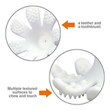 INEL GINGIVAL DIN SILICON, MOMBELLA - OCTOPUS ORANGE