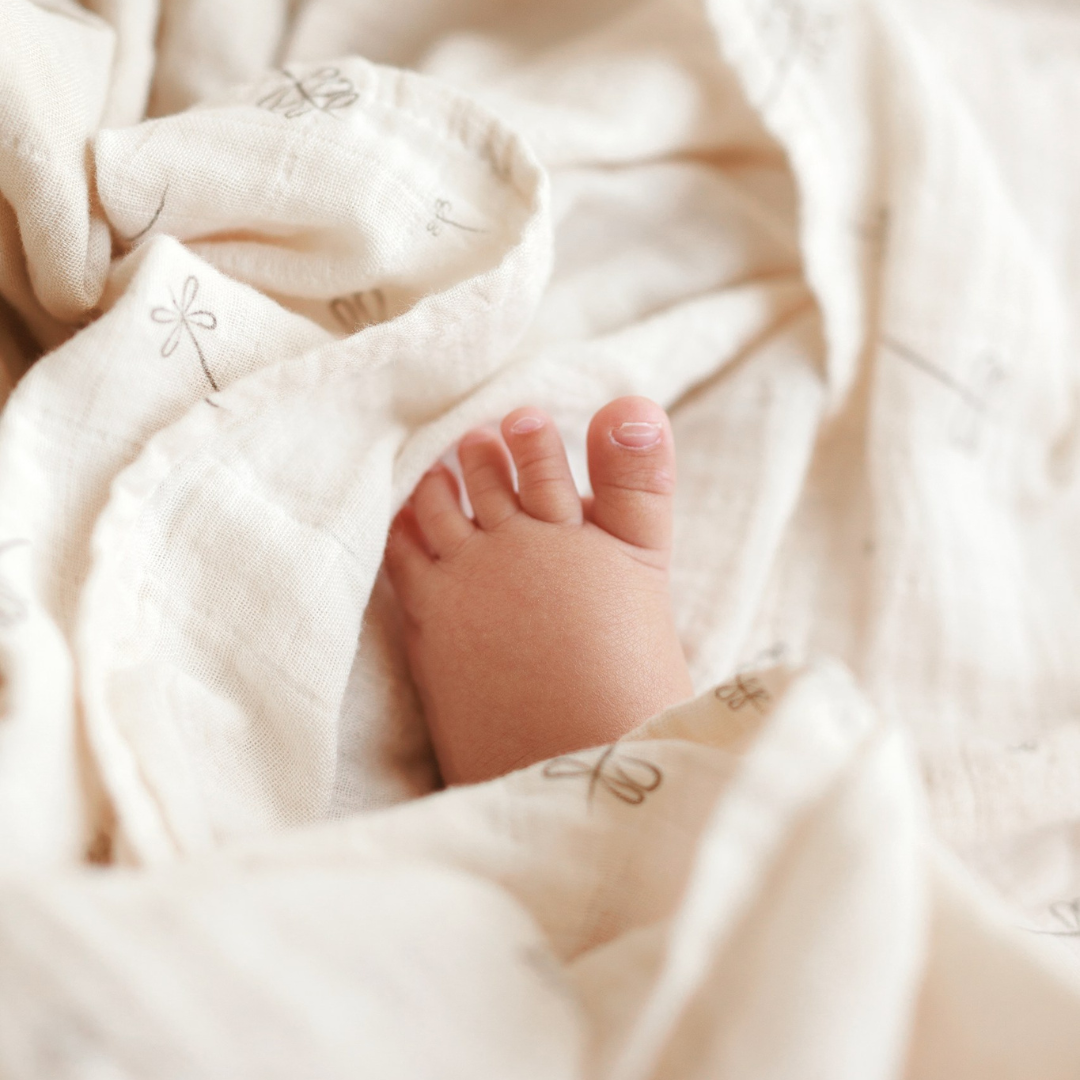 ONINO - Muselina multifunctionala din bumbac 100% organic, SNUGGLE.me, Pure Life, x1 bucata, 120 x 120 cm, certificata GOTS - gogobaby.ro