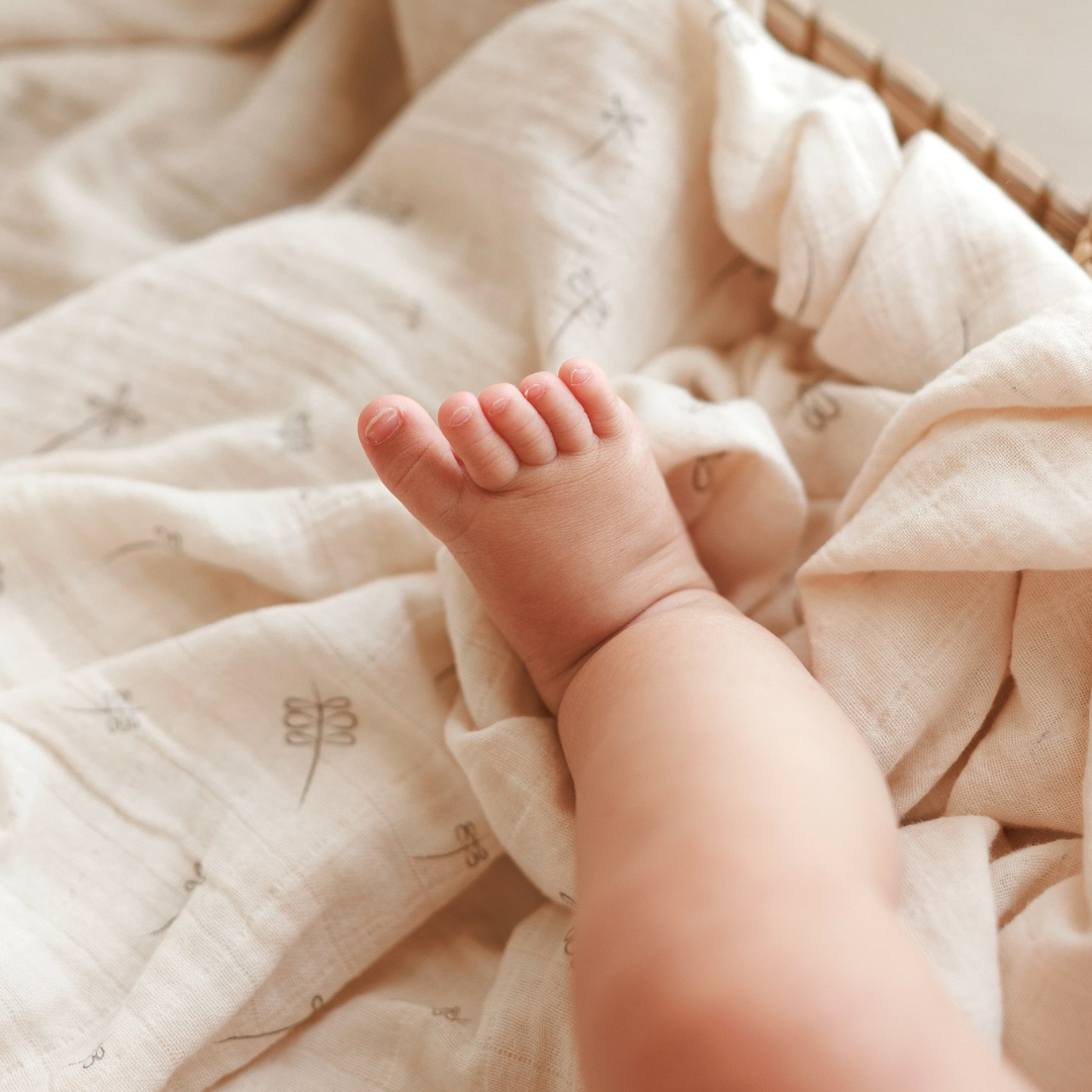ONINO - Muselina multifunctionala din bumbac 100% organic, SNUGGLE.me, Pure Life, x1 bucata, 120 x 120 cm, certificata GOTS - gogobaby.ro