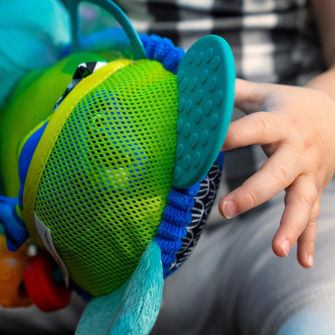 Baby Einstein - Jucarie interactiva de plus, 