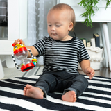 Baby Einstein - Jucarie zornaitoare, 