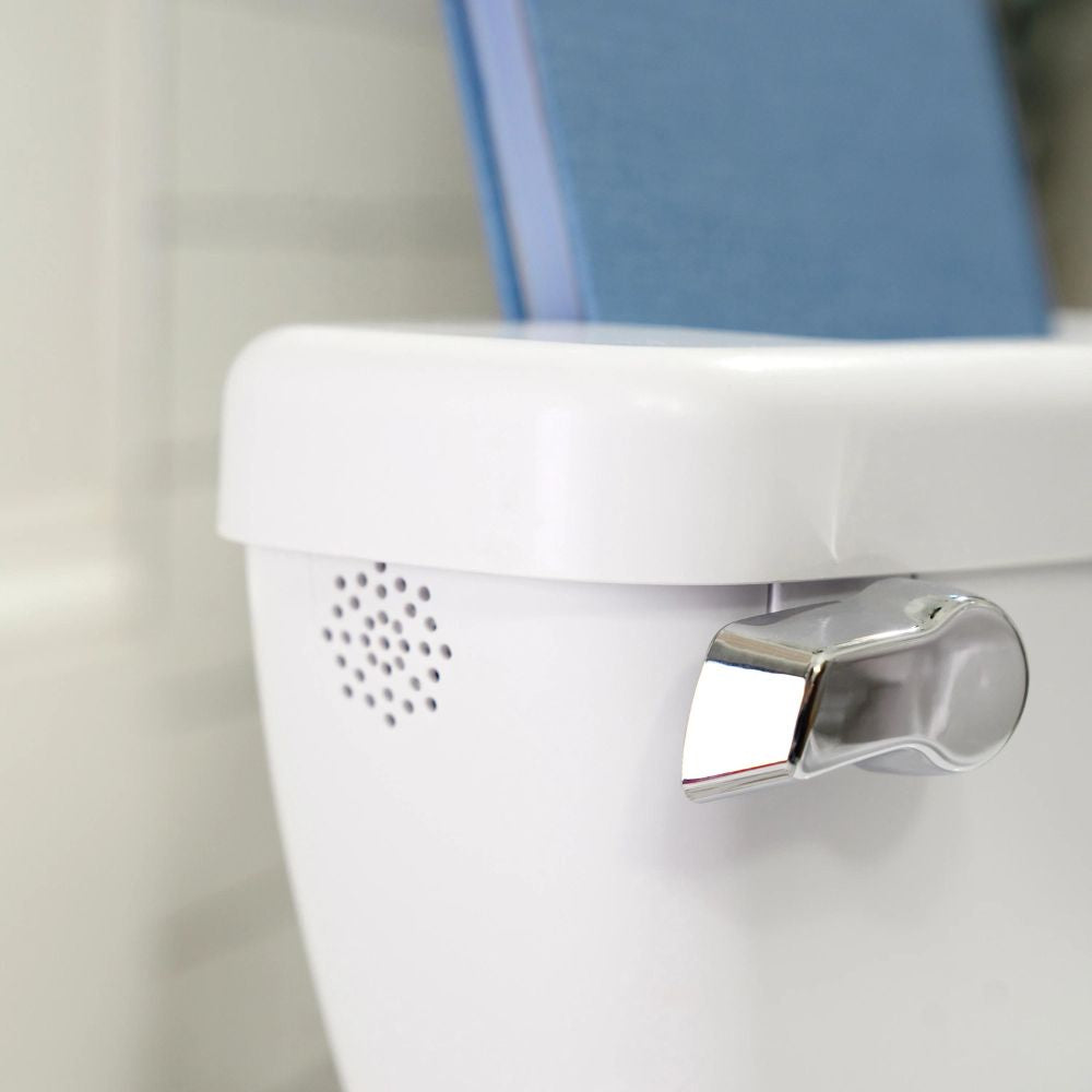 Ingenuity - Olita cu sunete My Size Potty Pro, alb - gogobaby.ro