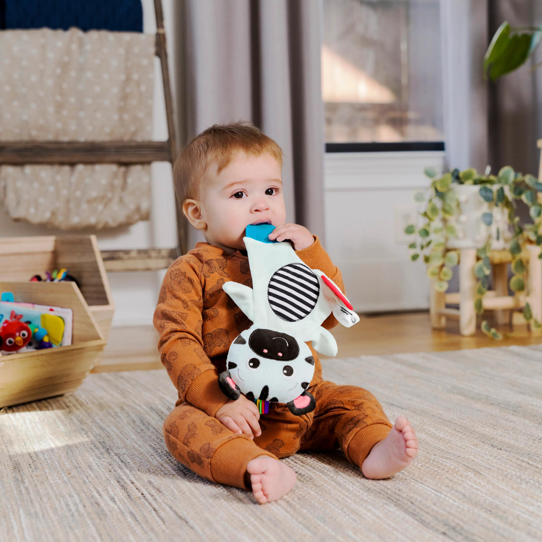 Bright Starts - Jucarie de dentitie din plus pentru bebelusi Zebra Zen - gogobaby.ro